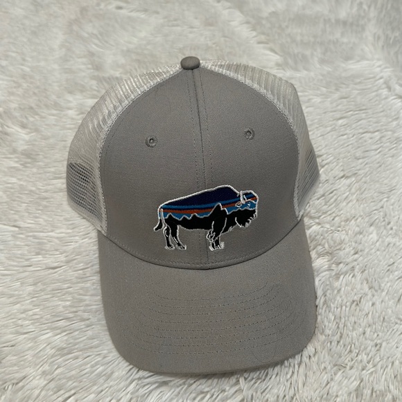 Patagonia Other - 🍁 NWOT Patagonia Snap Back Hat